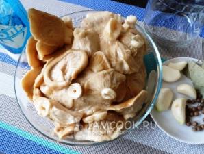 Рецепты соления грибов груздей