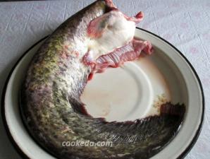 Котлеты из рыбы рецепт Котлеты из сома и судака